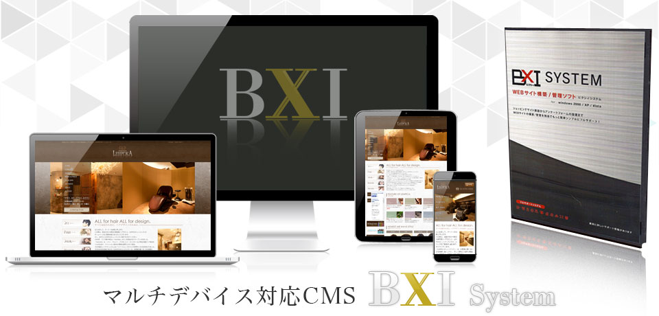 2010年代 BXI開発